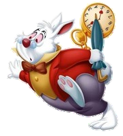 Conejo Blanco